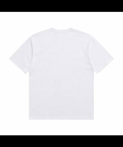 Ubuntu 26.04 Resolute Raccoon back